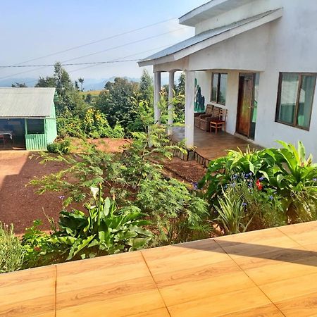 Ruhija Gorilla Guest House Kabale Екстериор снимка