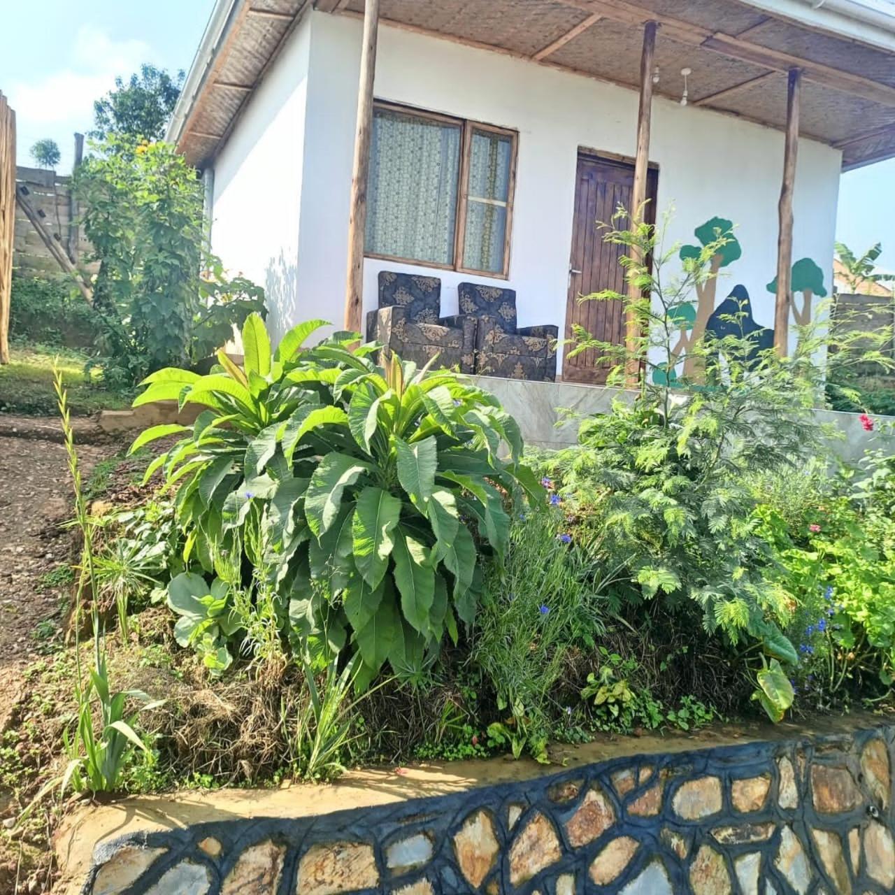Ruhija Gorilla Guest House Kabale Екстериор снимка